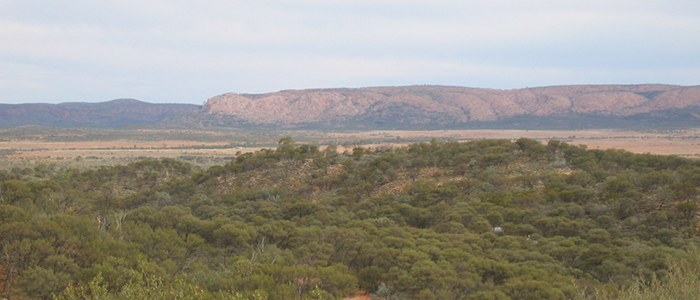 Scenery of Harts Range West